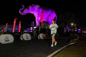 BIB: 
                            <button type="button" onclick="openModal(26534954)" class="btn btn-primary btn-sm float-right btn-popup" data-toggle="modal" data-target=".modal-high-quality">
                        <i class="fas fa-shopping-cart"></i> Add to Cart
                    </button>
                                            <button type="button" onclick="isThisMe(26534954, true)" class="btn btn-success btn-sm float-right btn-popup btn-isme hidden" data-toggle="tooltip" data-placement="bottom" title="นี่คือรูปของคุณใช่ไหม คลิกที่นี่เพื่อเอาเข้าอัลบั้ม">
                        <i class="fas fa-plus"></i> Add to album
                    </button>
                    <button type="button" onclick="isThisMe(26534954, false)" class="btn btn-warning btn-sm float-right btn-popup btn-isnotme hidden">
                        <i class="fas fa-ban"></i> Remove from album
                    </button>